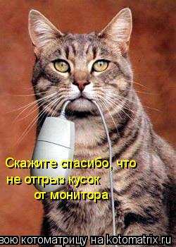 Скажите спасибо, что не отгрыз кусок от монитора... Котоматрица: Скажите спасибо, что не отгрыз кусок от монитора