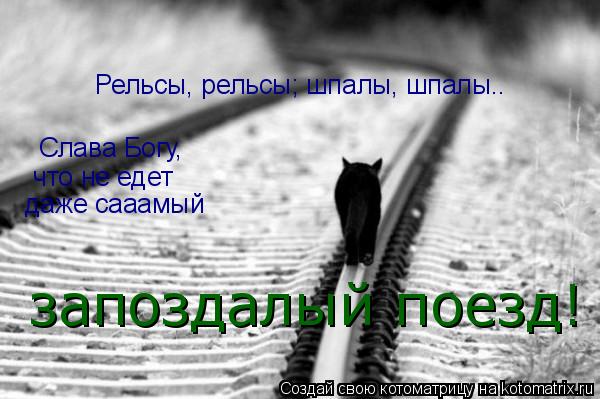 Рельсы, рельсы; шпалы, шпалы.. Слава Богу, что не едет даже сааамый запоздалый поезд!... Котоматрица: Рельсы, рельсы; шпалы, шпалы.. Слава Богу, что не едет даже сааамый запоздалый поезд!