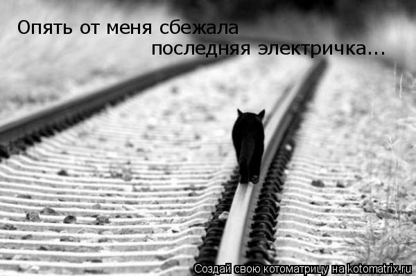 Опять от меня сбежала последняя электричка...... Котоматрица: Опять от меня сбежала последняя электричка...