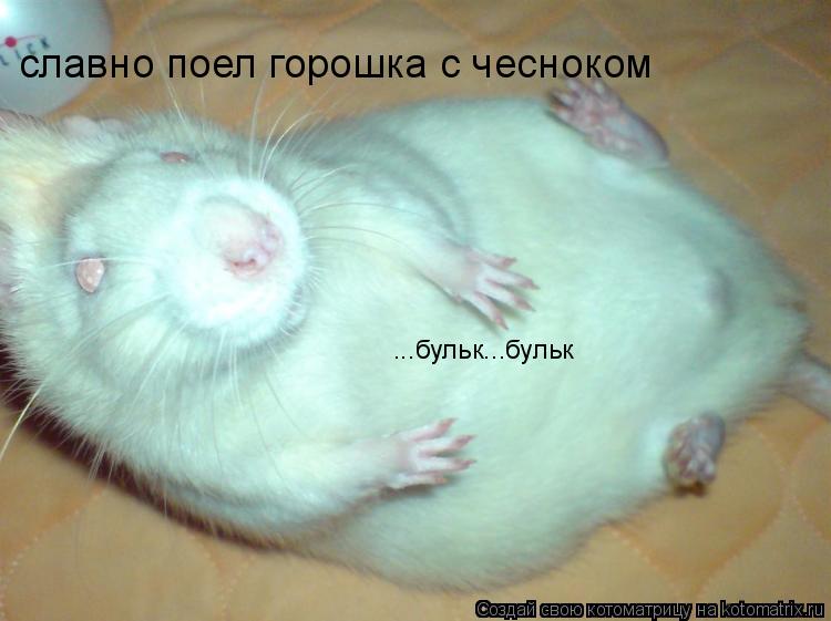 славно поел горошка с чесноком ...бульк...бульк... Котоматрица: славно поел горошка с чесноком ...бульк...бульк