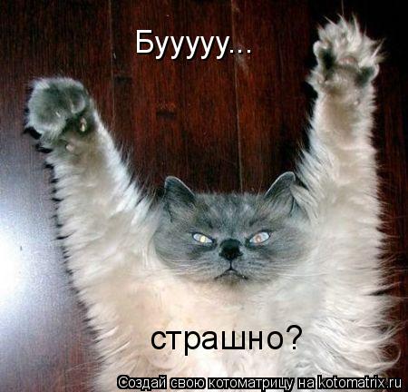 Котоматрица: Бууууу... страшно?