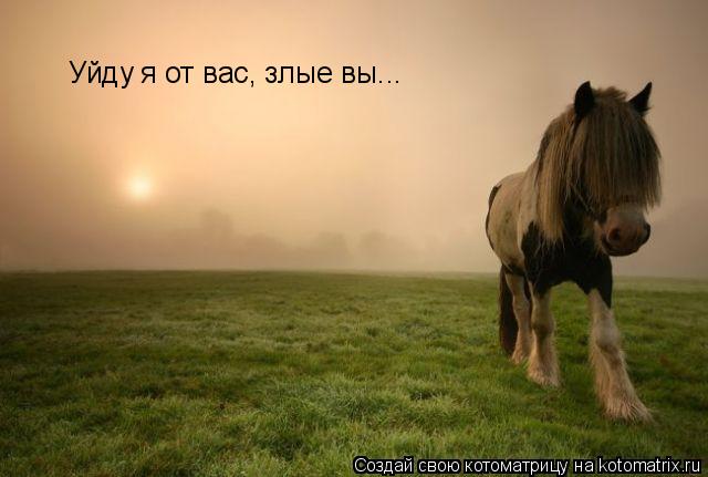 Уйду я от вас, злые вы...... Котоматрица: Уйду я от вас, злые вы...
