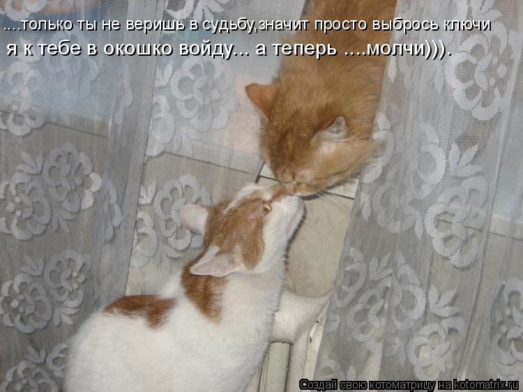 ....только ты не веришь в судьбу,значит просто выбрось ключи я к тебе в окошко войду... а теперь ....... Котоматрица: ....только ты не веришь в судьбу,значит просто выбрось ключи я к тебе в окошко войду... а теперь ....молчи))).