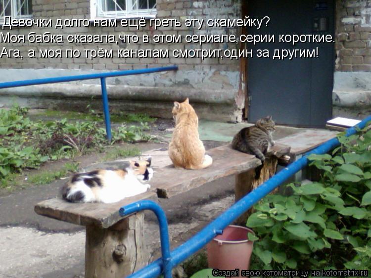 Девочки долго нам ещё греть эту скамейку? Моя бабка сказала,что в этом сериале,серии короткие. Ага, а... Котоматрица: Девочки долго нам ещё греть эту скамейку? Моя бабка сказала,что в этом сериале,серии короткие. Ага, а моя по трём каналам смотрит,один за дру