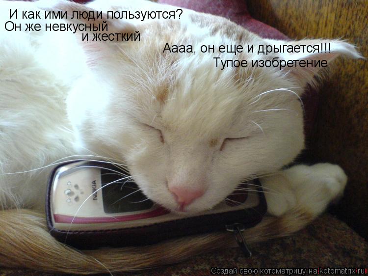 И как ими люди пользуются? Он же невкусный и жесткий Аааа, он еще и дрыгается!!! Тупое изобретение... Котоматрица: И как ими люди пользуются? Он же невкусный и жесткий Аааа, он еще и дрыгается!!! Тупое изобретение