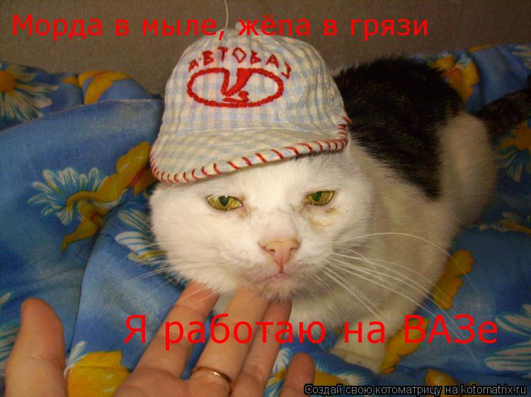 Морда в мыле, жёпа в грязи Я работаю на ВАЗе... Котоматрица: Морда в мыле, жёпа в грязи Я работаю на ВАЗе
