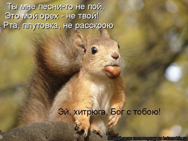 Ты мне песни-то не пой, Это мой орех - не твой! Рта, плутовка, не расскрою Эй, хитрюга, Бог с тобою!... Котоматрица: Ты мне песни-то не пой, Это мой орех - не твой! Рта, плутовка, не расскрою Эй, хитрюга, Бог с тобою!