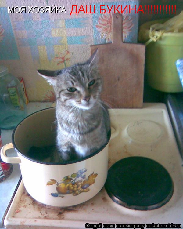 МОЯ ХОЗЯЙКА ДАШ БУКИНА!!!!!!!!!!!... Котоматрица: МОЯ ХОЗЯЙКА ДАШ БУКИНА!!!!!!!!!!!