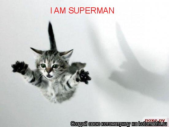 I AM SUPERMAN... Котоматрица: I AM SUPERMAN