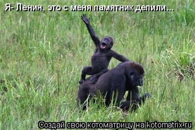 Котоматрица: Я- Ленин, это с меня памятник депили...