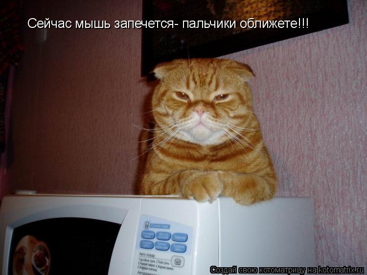 Сейчас мышь запечется- пальчики оближете!!!... Котоматрица: Сейчас мышь запечется- пальчики оближете!!!
