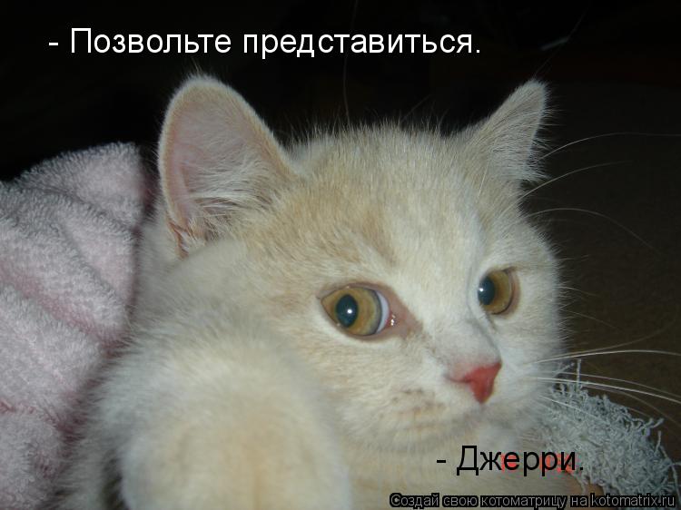 - Позвольте представиться. - Джерри.... Котоматрица: - Позвольте представиться. - Джерри.