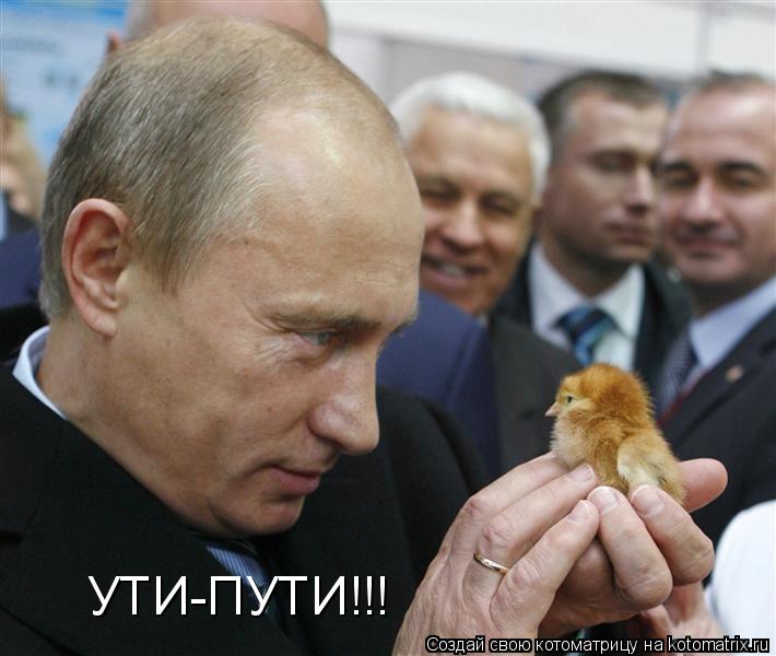 Котоматрица: УТИ-ПУТИ!!!