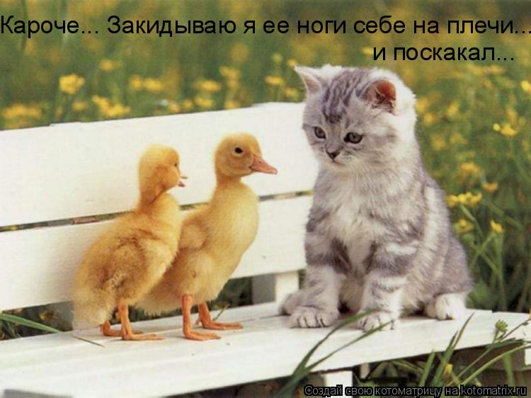 Кароче... Закидываю я ее ноги себе на плечи... и поскакал...... Котоматрица: Кароче... Закидываю я ее ноги себе на плечи... и поскакал...