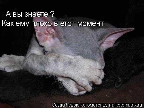 А вы знаете ? Как ему плохо в етот момент... Котоматрица: А вы знаете ? Как ему плохо в етот момент
