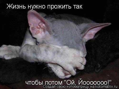 Жизнь нужно прожить так чтобы потом "Ой, Йооооооо!"... Котоматрица: Жизнь нужно прожить так чтобы потом "Ой, Йооооооо!"