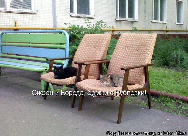 Сифон и Борода, бомжи с Рублёвки!... Котоматрица: Сифон и Борода, бомжи с Рублёвки!