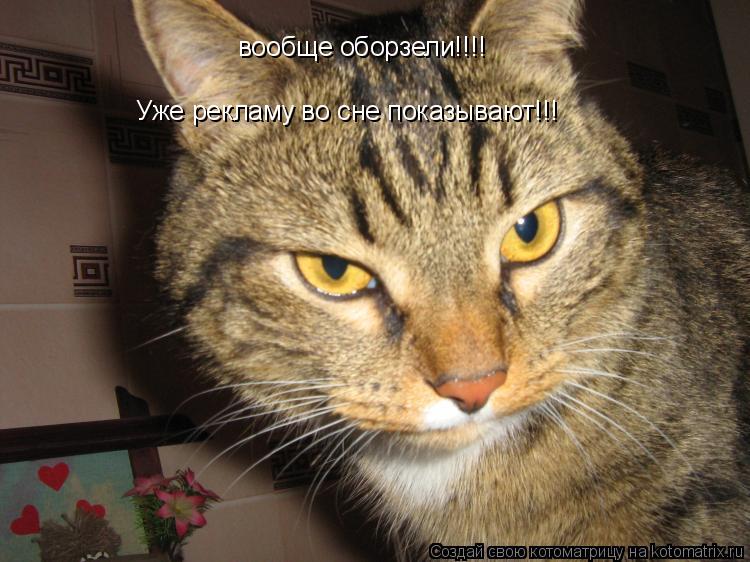 вообще оборзели!!!! Уже рекламу во сне показывают!!!... Котоматрица: вообще оборзели!!!! Уже рекламу во сне показывают!!!