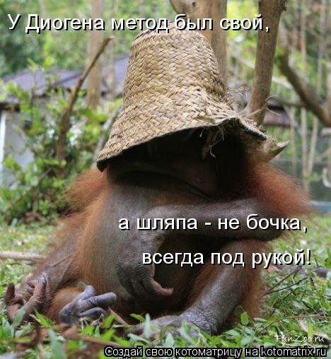 Котоматрица: У Диогена метод был свой, а шляпа - не бочка,  всегда под рукой!