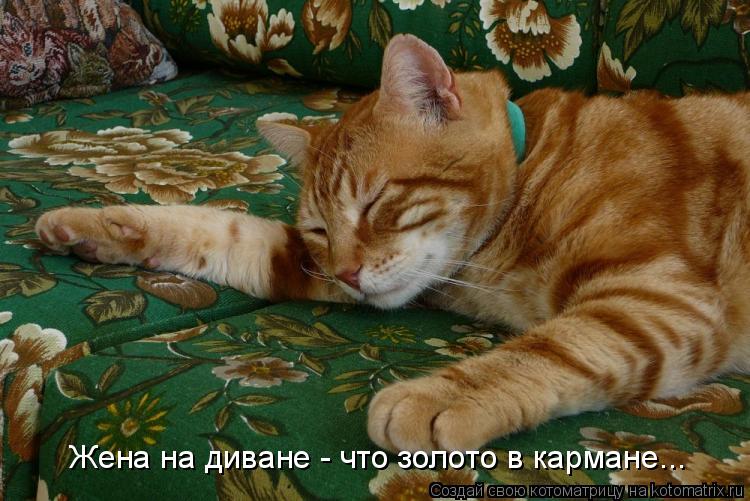 Жена на диване - что золото в кармане...... Котоматрица: Жена на диване - что золото в кармане...