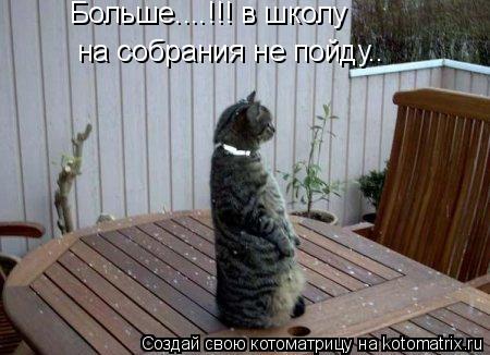 на собрания не пойду.. Больше....!!! в школу... Котоматрица: на собрания не пойду.. Больше....!!! в школу
