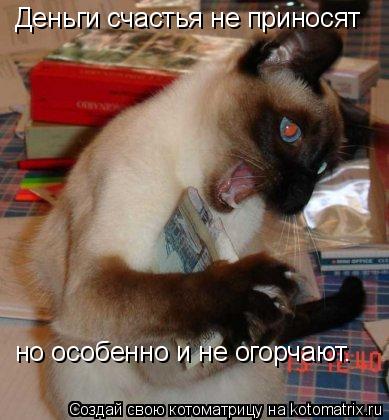 Деньги счастья не приносят но особенно и не огорчают.... Котоматрица: Деньги счастья не приносят но особенно и не огорчают.