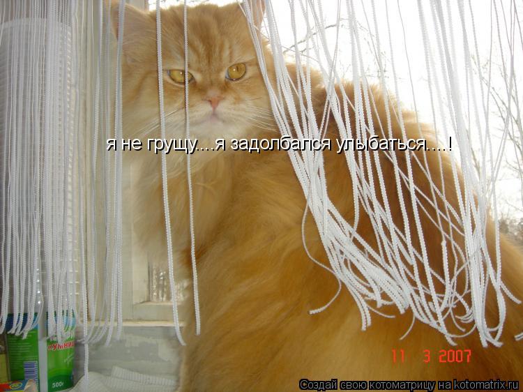 я не грущу....я задолбался улыбаться....!... Котоматрица: я не грущу....я задолбался улыбаться....!