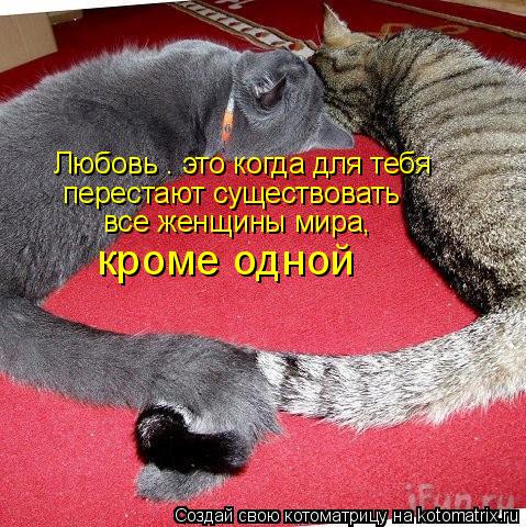 Котоматрица: Любовь – это когда для тебя  перестают существовать  все женщины мира,  кроме одной