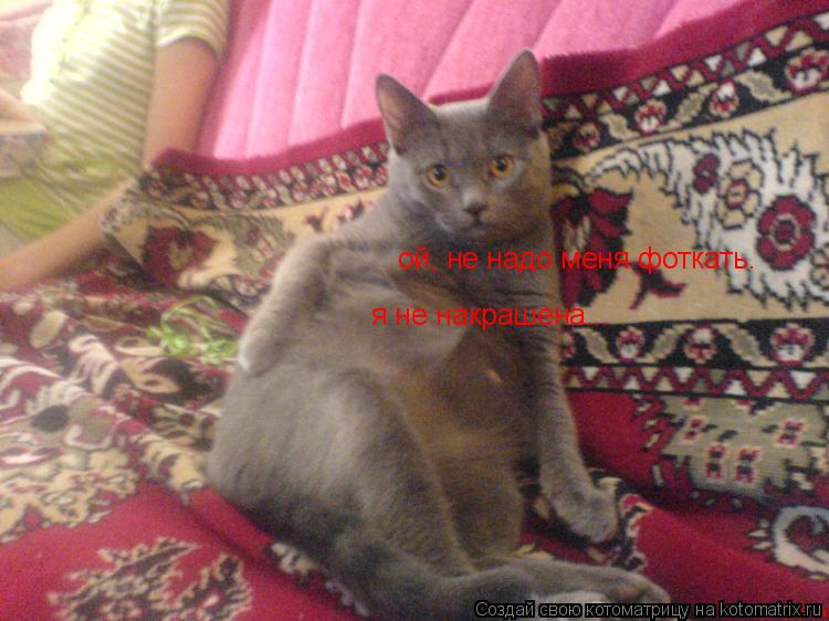 ой, не надо меня фоткать. я не накрашена...... Котоматрица: ой, не надо меня фоткать. я не накрашена...