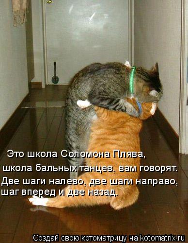 школа бальных танцев, вам говорят. Это школа Соломона Плява, Две шаги налево, две шаги направо, шаг в... Котоматрица: школа бальных танцев, вам говорят. Это школа Соломона Плява, Две шаги налево, две шаги направо, шаг вперед и две назад.