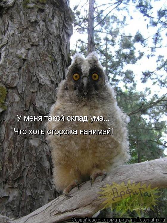 У меня такой склад ума... Что хоть сторожа нанимай!... Котоматрица: У меня такой склад ума... Что хоть сторожа нанимай!