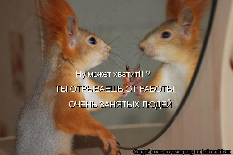 Ну может хватит!! ? ТЫ ОТРЫВАЕШЬ ОТ РАБОТЫ ОЧЕНЬ ЗАНЯТЫХ ЛЮДЕЙ.... Котоматрица: Ну может хватит!! ? ТЫ ОТРЫВАЕШЬ ОТ РАБОТЫ ОЧЕНЬ ЗАНЯТЫХ ЛЮДЕЙ.