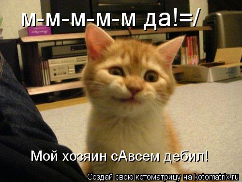 м-м-м-м-м да!=/ Мой хозяин сАвсем дебил!... Котоматрица: м-м-м-м-м да!=/ Мой хозяин сАвсем дебил!
