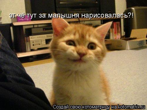 эт чё тут за малышня нарисовалась?!... Котоматрица: эт чё тут за малышня нарисовалась?!
