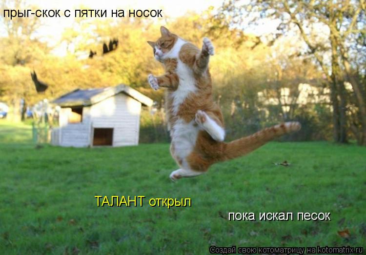 прыг-скок с пятки на носок пока искал песок ТАЛАНТ открыл... Котоматрица: прыг-скок с пятки на носок пока искал песок ТАЛАНТ открыл