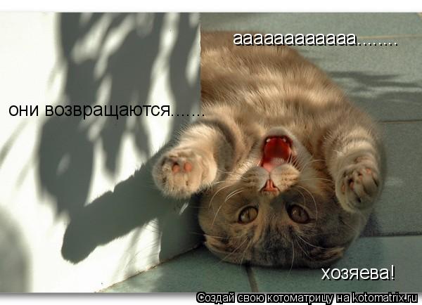 Котоматрица: аааааааааааа........ они возвращаются....... хозяева!