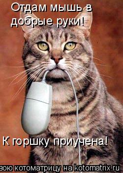 Отдам мышь в добрые руки! К горшку приучена!... Котоматрица: Отдам мышь в добрые руки! К горшку приучена!