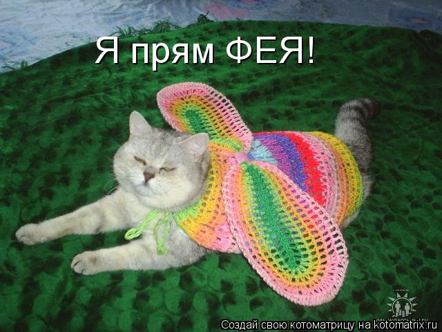 Я прям ФЕЯ!... Котоматрица: Я прям ФЕЯ!