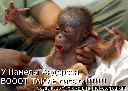 У Памелы Андерсен ВОООТ ТАКИЕ сиськи!!!!!!!... Котоматрица: У Памелы Андерсен ВОООТ ТАКИЕ сиськи!!!!!!!