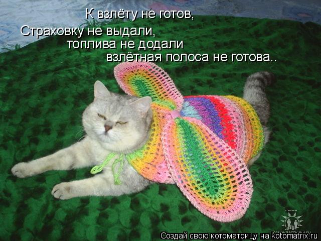 К взлёту не готов, Страховку не выдали, топлива не додали взлётная полоса не готова..... Котоматрица: К взлёту не готов, Страховку не выдали, топлива не додали взлётная полоса не готова..