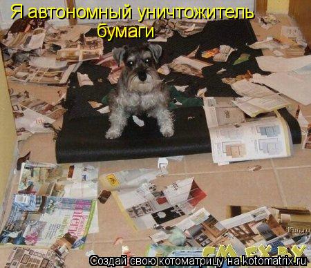 Я автономный уничтожитель бумаги... Котоматрица: Я автономный уничтожитель бумаги