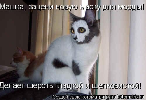 Машка, зацени новую маску для морды! Делает шерсть гладкой и шелковистой!... Котоматрица: Машка, зацени новую маску для морды! Делает шерсть гладкой и шелковистой!