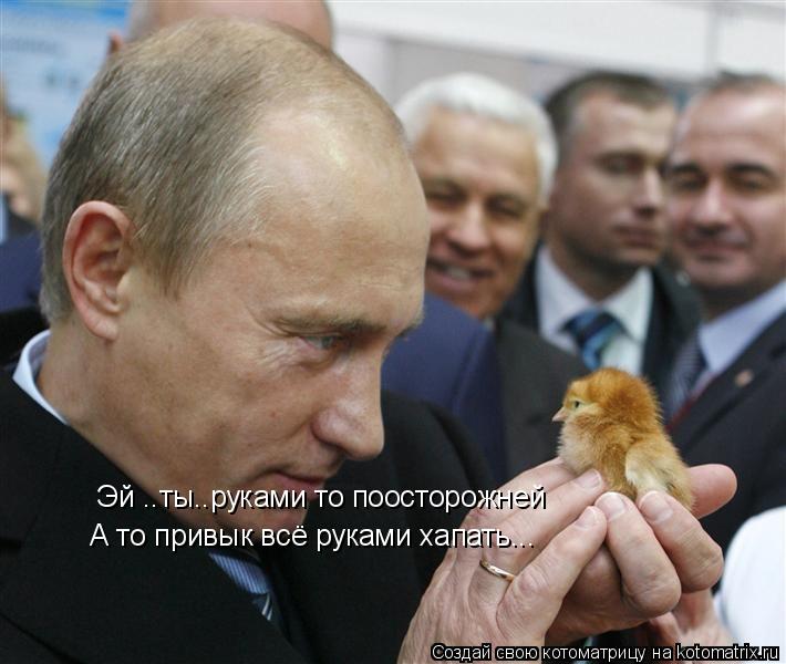 Эй ..ты..руками то поосторожней А то привык всё руками хапать...... Котоматрица: Эй ..ты..руками то поосторожней А то привык всё руками хапать...