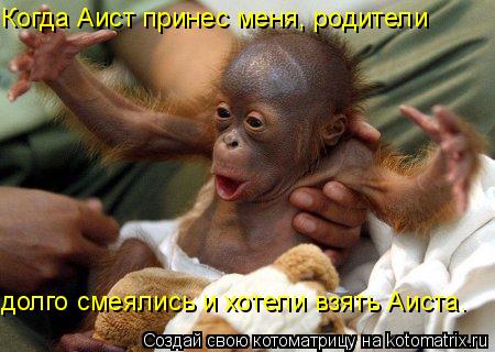 Когда Аист принес меня, родители долго смеялись и хотели взять Аиста.... Котоматрица: Когда Аист принес меня, родители долго смеялись и хотели взять Аиста.