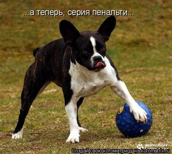 ...а теперь, серия пенальти...... Котоматрица: ...а теперь, серия пенальти...