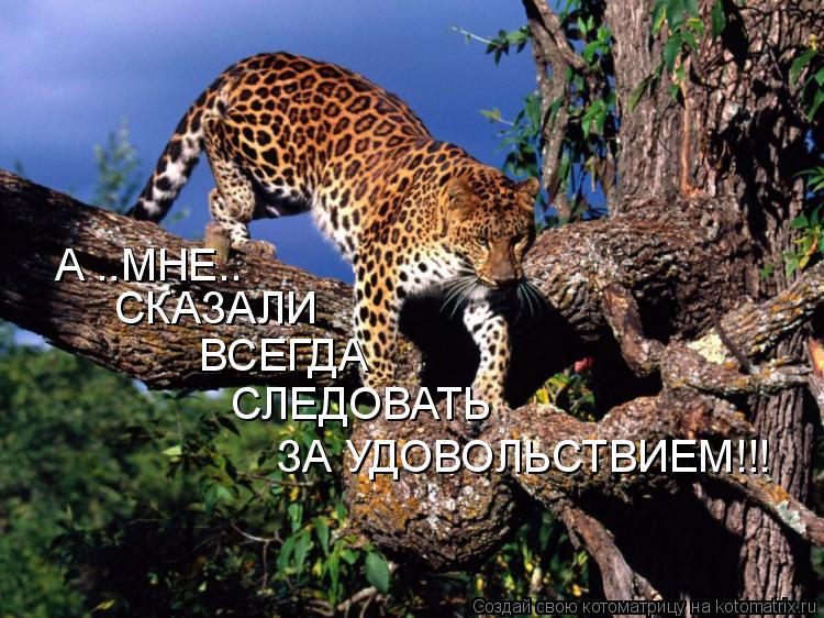 А ..МНЕ.. СКАЗАЛИ ВСЕГДА СЛЕДОВАТЬ ЗА УДОВОЛЬСТВИЕМ!!!... Котоматрица: А ..МНЕ.. СКАЗАЛИ ВСЕГДА СЛЕДОВАТЬ ЗА УДОВОЛЬСТВИЕМ!!!