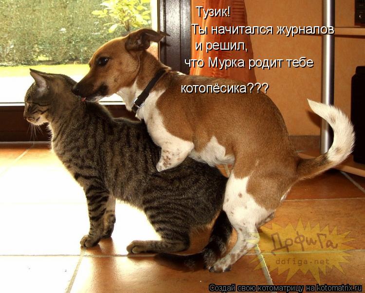 Тузик! Ты начитался журналов и решил, что Мурка родит тебе котопёсика???... Котоматрица: Тузик! Ты начитался журналов и решил, что Мурка родит тебе котопёсика???