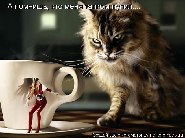 Котоматрица: А помнишь, кто меня тапком лупил....