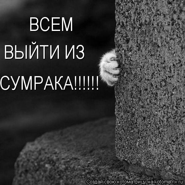 ВСЕМ ВЫЙТИ ИЗ СУМРАКА!!!!!!... Котоматрица: ВСЕМ ВЫЙТИ ИЗ СУМРАКА!!!!!!