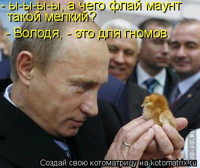 - ы-ы-ы-ы, а чего флай маунт такой мелкий? - Володя, - это для гномов... Котоматрица: - ы-ы-ы-ы, а чего флай маунт такой мелкий? - Володя, - это для гномов